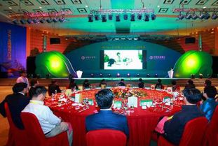 廣西專業婚慶策劃主持哪家好？非凡婚慶活動策劃全方位解析