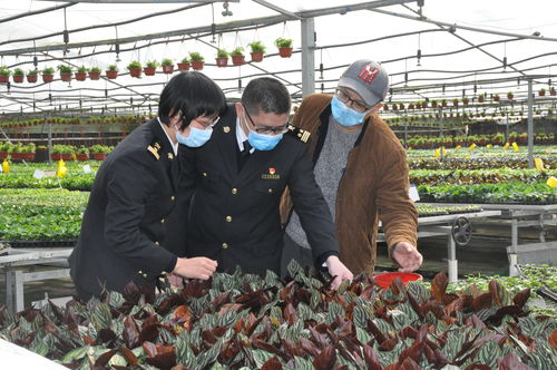 廣州農產品原材料進出口雙順暢，為農業生產注入新活力