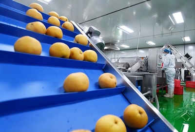 河北晉州 以農產品深加工為引擎，激活縣域經濟發展新動能