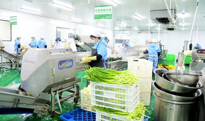 農產品的生產 從田間到餐桌的綠色旅程