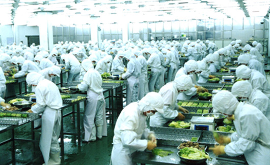 求索企業(yè)可持續(xù) 走進(jìn)龍大，探訪生態(tài)農(nóng)業(yè)產(chǎn)業(yè)鏈中的農(nóng)產(chǎn)品生產(chǎn)
