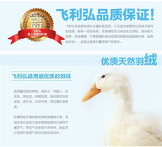 寒冬暖意，浪漫滿屋 飛利弘精品特價(jià)羽絨被，助您安享舒適睡眠