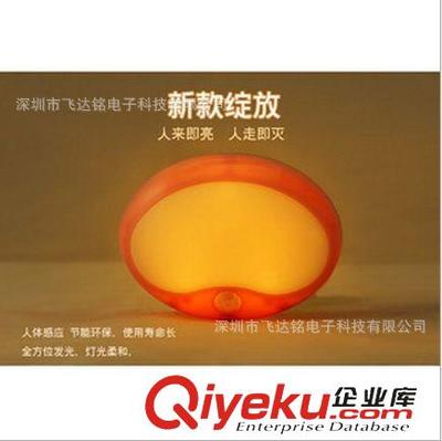 創(chuàng)意燈飾系列 小浣熊感應(yīng)燈——節(jié)能與萌趣的完美融合